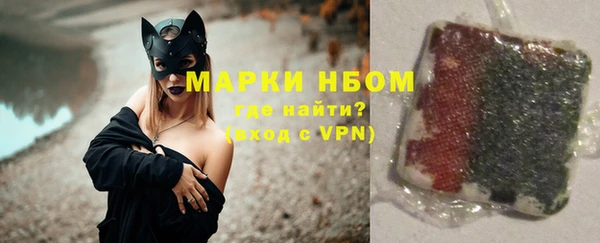 Альфа ПВП Инсар