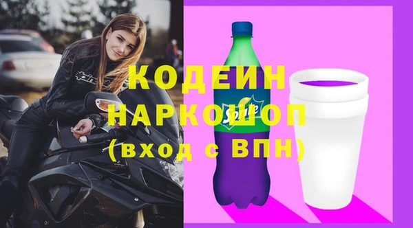 гидра Инта