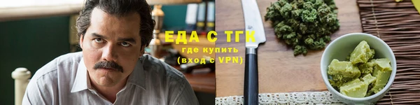 гидра Инта