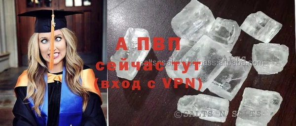 стаф Зерноград