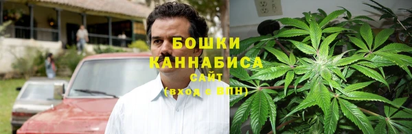 гидра Инта