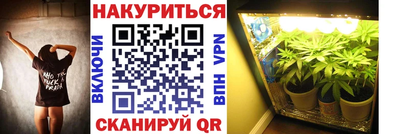 Купить закладки  Гвардейск  Каннабис план 